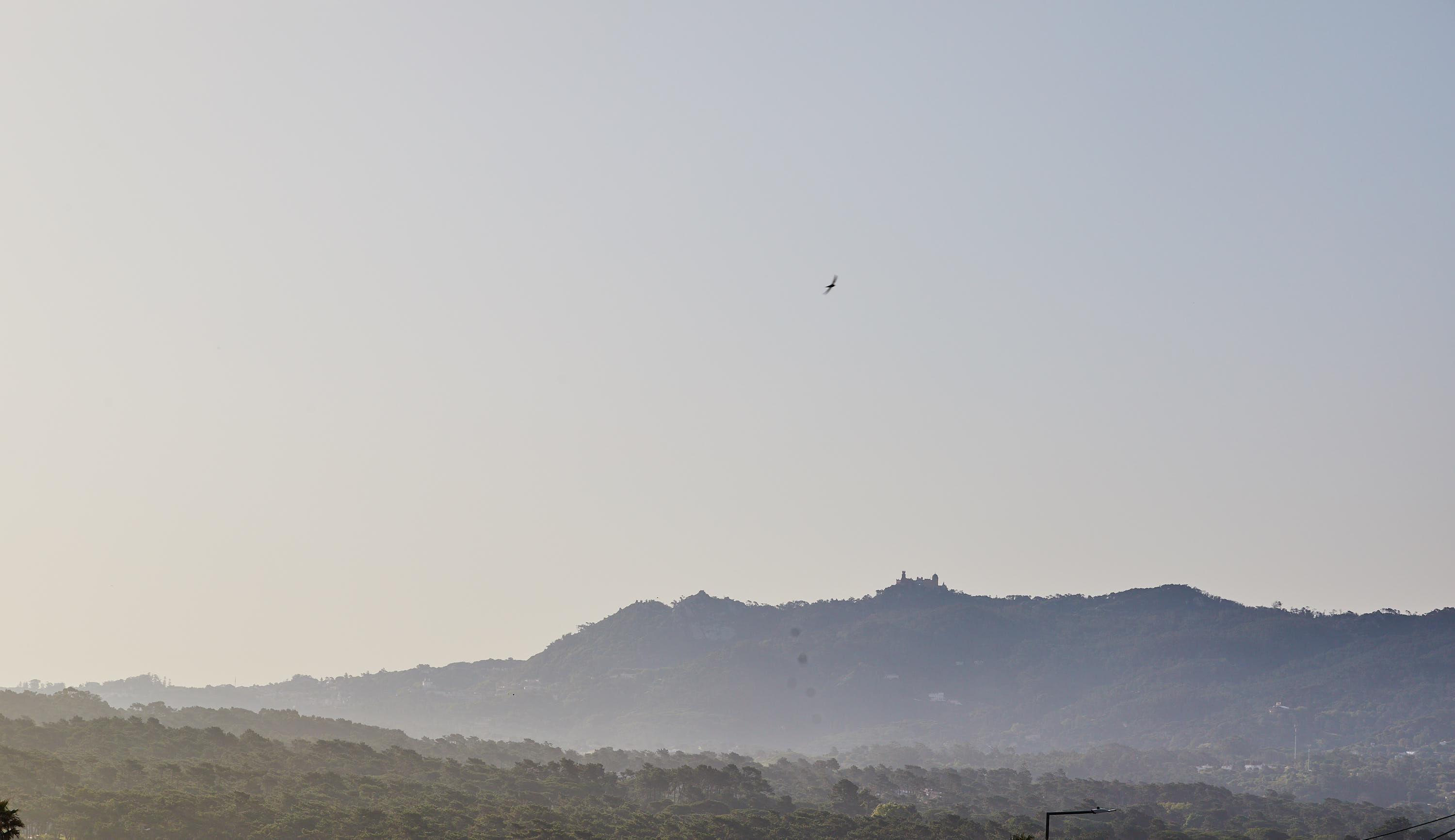 Pena Palace on the top of the Sintra mountain, wrapped in morning mist